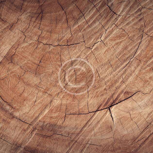 Natural oak panels